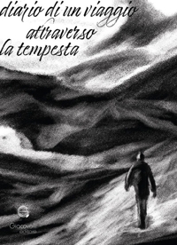Immagine copertina libro Diario di un viaggio attraverso la tempesta