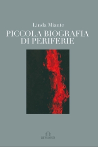 Immagine copertina libro Piccola Biografia di Periferie