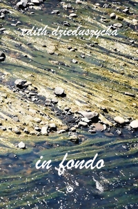 Immagine copertina libro In fondo