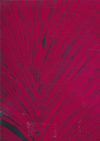 Immagine copertina libro Unknown pleasures. Ediz. illustrata