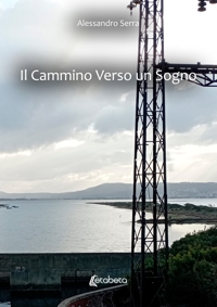 Immagine copertina libro Il cammino verso un sogno