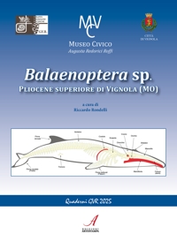Immagine copertina libro Balaenoptera sp. Pliocene superiore di Vignola (MO)