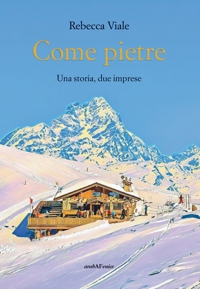 Immagine copertina libro Come pietre. Una storia, due imprese