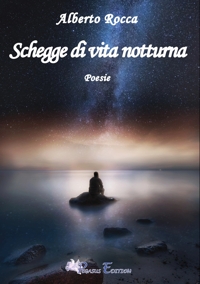 Immagine copertina libro Schegge di vita notturna
