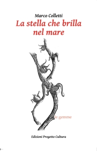 Immagine copertina libro La stella che brilla nel mare
