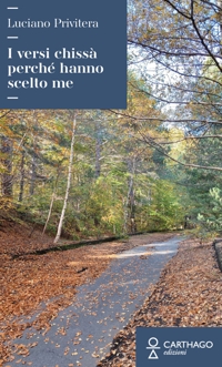 Immagine copertina libro I versi chissà perché hanno scelto me