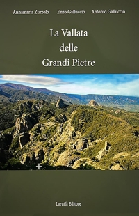 Immagine copertina libro La vallata delle Grandi Pietre