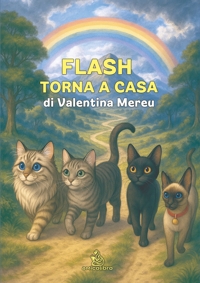 Immagine copertina libro Flash torna a casa. Ediz. illustrata