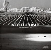 Immagine copertina libro Into the light