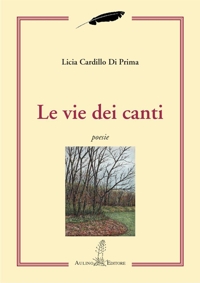 Immagine copertina libro Le vie dei canti