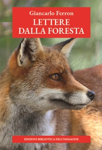 Immagine copertina libro Lettere dalla foresta