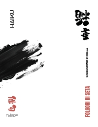 Immagine copertina libro Folgori di seta