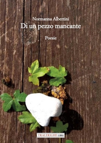 Immagine copertina libro Di un pezzo mancante