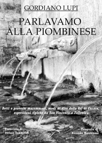 Immagine copertina libro Parlavamo alla piombinese