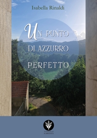 Immagine copertina libro Un punto di azzurro perfetto