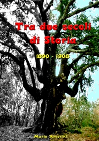 Immagine copertina libro Tra due secoli di storia. 1890-1908