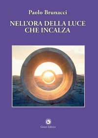 Immagine copertina libro Nell'ora della luce che incalza