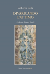 Immagine copertina libro Divaricando l'attimo