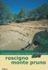 Immagine copertina libro Roscigno Monte Pruno: un sito di frontiera tra Paestum e il Vallo di Diano