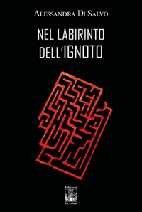 Immagine copertina libro Nel labirinto dell'ignoto