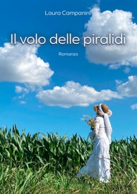 Immagine copertina libro Il volo delle piralidi