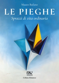 Immagine copertina libro Le pieghe. Sprazzi di vita ordinaria