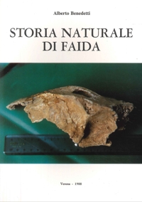 Immagine copertina libro Storia naturale di Faida