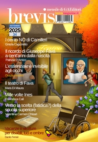 Immagine copertina libro Brevis (2025). Vol. 34