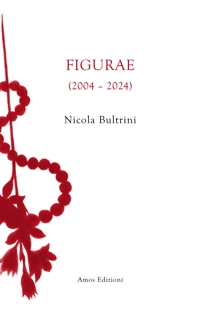 Immagine copertina libro Figurae (2004-2024)
