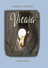 Immagine copertina libro Vicaia