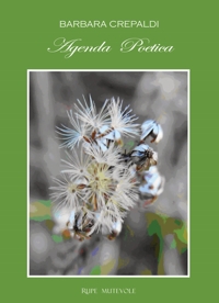 Immagine copertina libro Agenda poetica. Ediz. illustrata