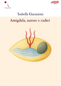 Immagine copertina libro Amigdala, aurore e radici
