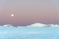 Immagine copertina libro Pause