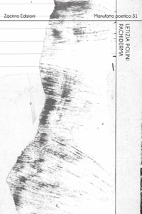 Immagine copertina libro Pachiderma