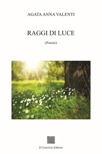Immagine copertina libro Raggi di luce