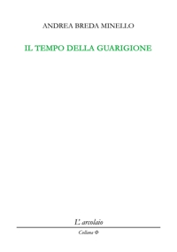 Immagine copertina libro Il tempo della guarigione
