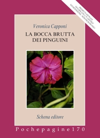 Immagine copertina libro La bocca brutta dei pinguini