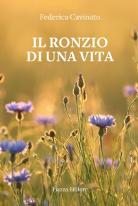 Immagine copertina libro Il ronzio di una vita