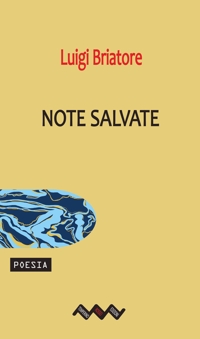 Immagine copertina libro Note salvate