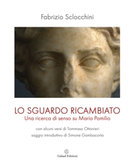 Immagine copertina libro Lo sguardo ricambiato. Una ricerca di senso su Mario Pomilio