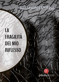 Immagine copertina libro La fragilità del mio riflesso