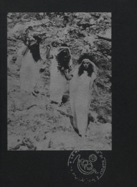 Immagine copertina libro Le Nemesiache: Reclaiming Mythological Rituals