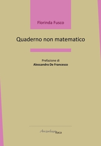 Immagine copertina libro Quaderno non matematico