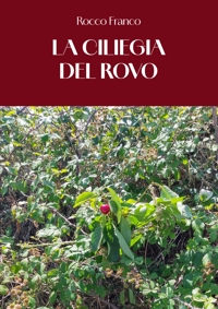 Immagine copertina libro La ciliegia del rovo