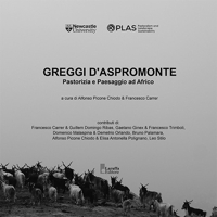 Immagine copertina libro Greggi d'Aspromonte. Pastorizia e paesaggio ad Africo