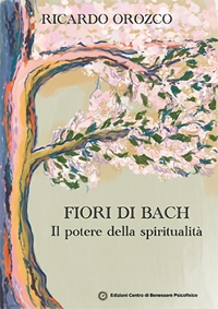 Immagine copertina libro Il potere della spiritualità