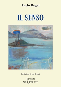 Immagine copertina libro Il senso