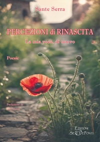 Immagine copertina libro Percezioni di rinascita. La mia voce, di nuovo