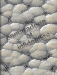 Immagine copertina libro Camaraderie of infidelities. Ediz. illustrata