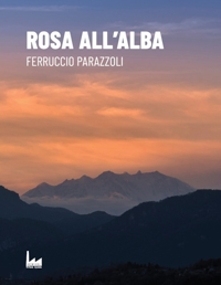 Immagine copertina libro Rosa all'alba